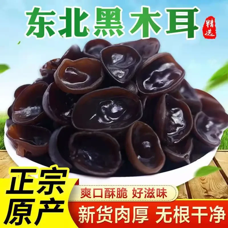 东北新货黑木耳无根肉厚2025年头茬木耳干货特产