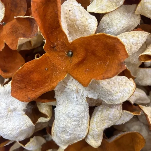 浦北老树陈皮自然生晒干仓煲汤佳品