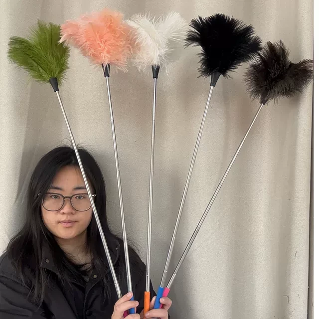 鸵鸟毛除尘鸡毛掸子可伸缩扫灰神器车用打扫掸家用装饰清洁多功能