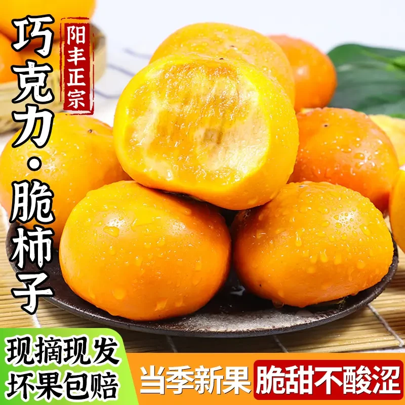 【不发次果】正宗巧克力脆柿新鲜采摘新鲜发货整箱果园直发