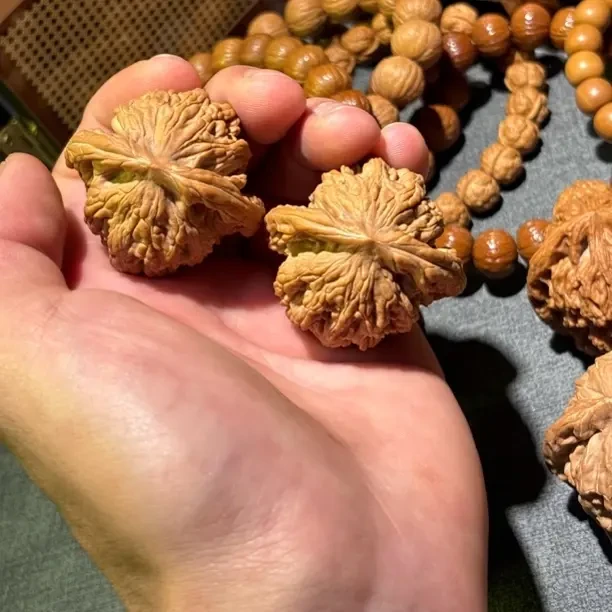 43虎头 捡漏了漏漏漏！