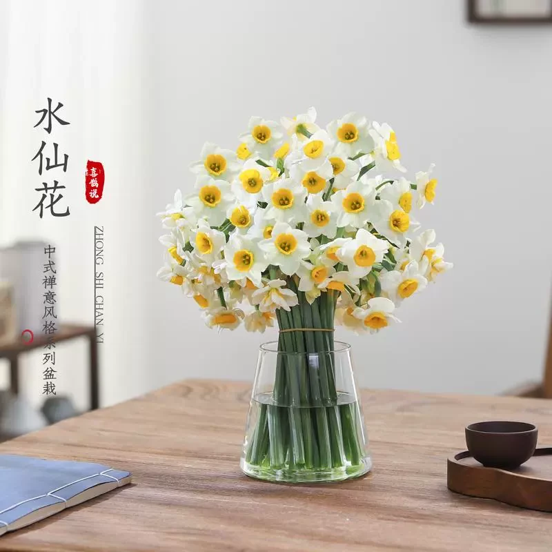 漳州水仙花现摘鲜切花冬季好养活水培植物室内装饰花枝插花年宵花