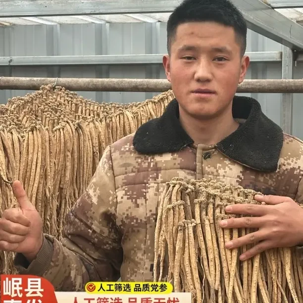 岷源本草阁【25年党参干货】岷县原产地直发自然馈赠煲汤滋补首选