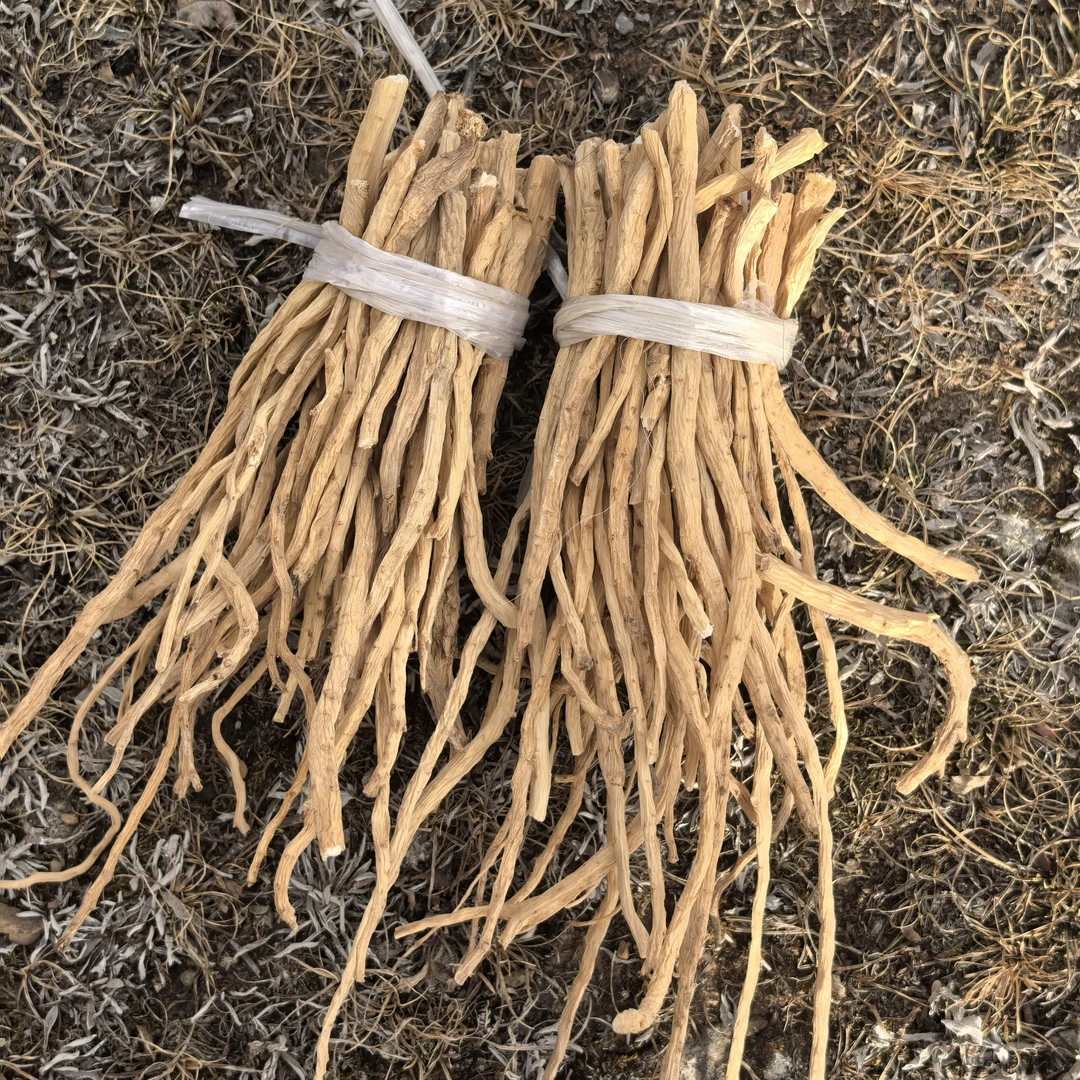 甘肃产地直发无硫熏党参边角料干货滋补泡水煲汤佳品