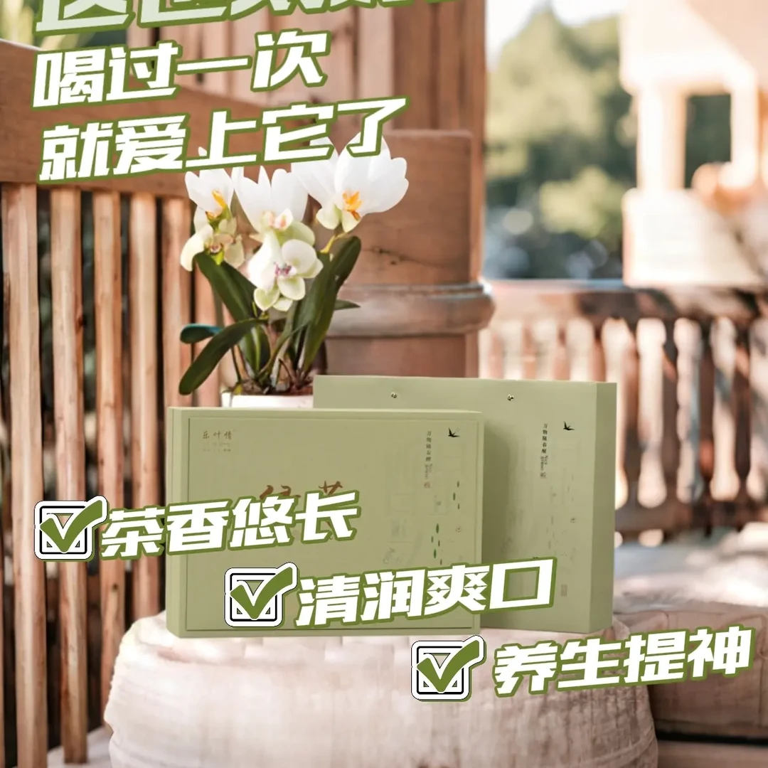 贵州乐叶情高山绿茶