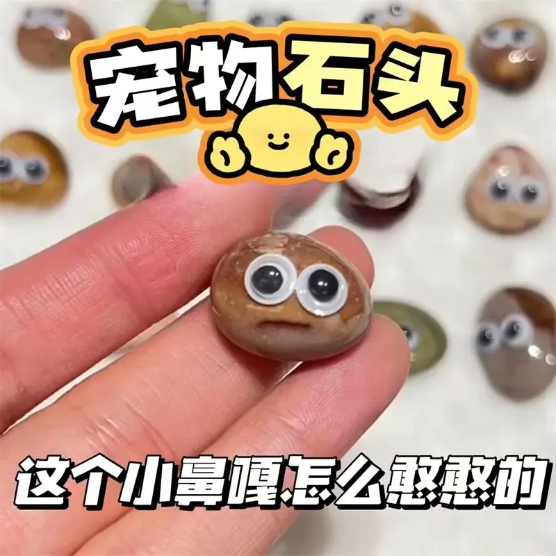【棉花】宠物石头圆滑滚石呆萌网红可爱鱼缸造景石桌面装饰摆件饰品