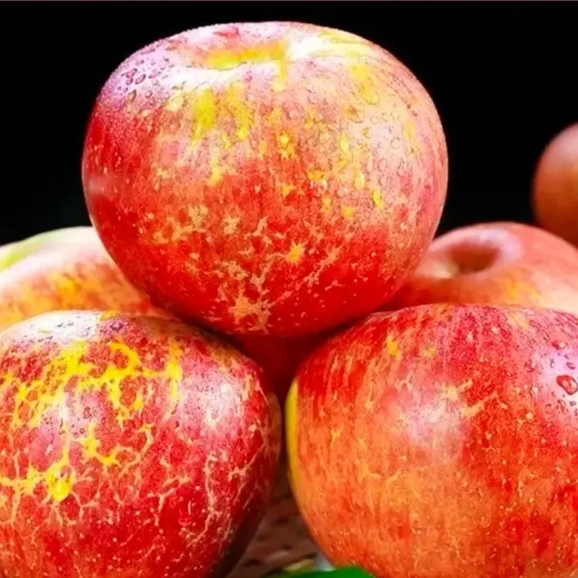 云南昭通冰糖心丑苹果新鲜脆甜现摘水果