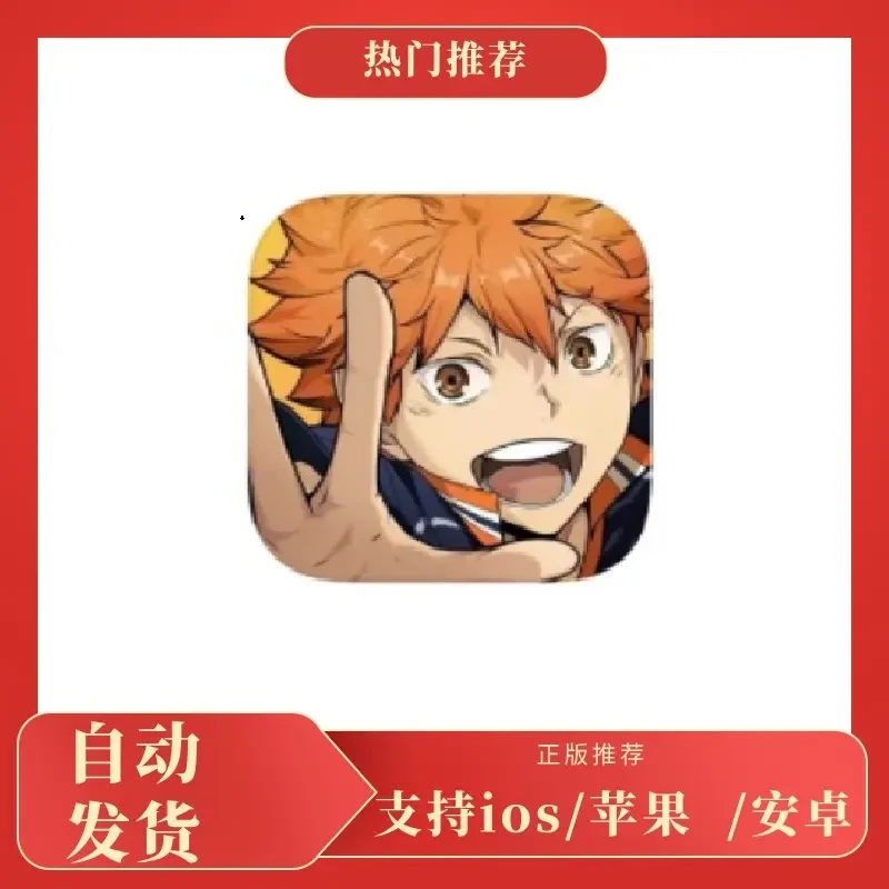 排球少年 FLY HIGH 日服 /软件安装服务手机平板手游游戏安装