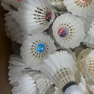 大品牌95新二手毛球适合多球训练培训飞行稳定耐用一桶12个