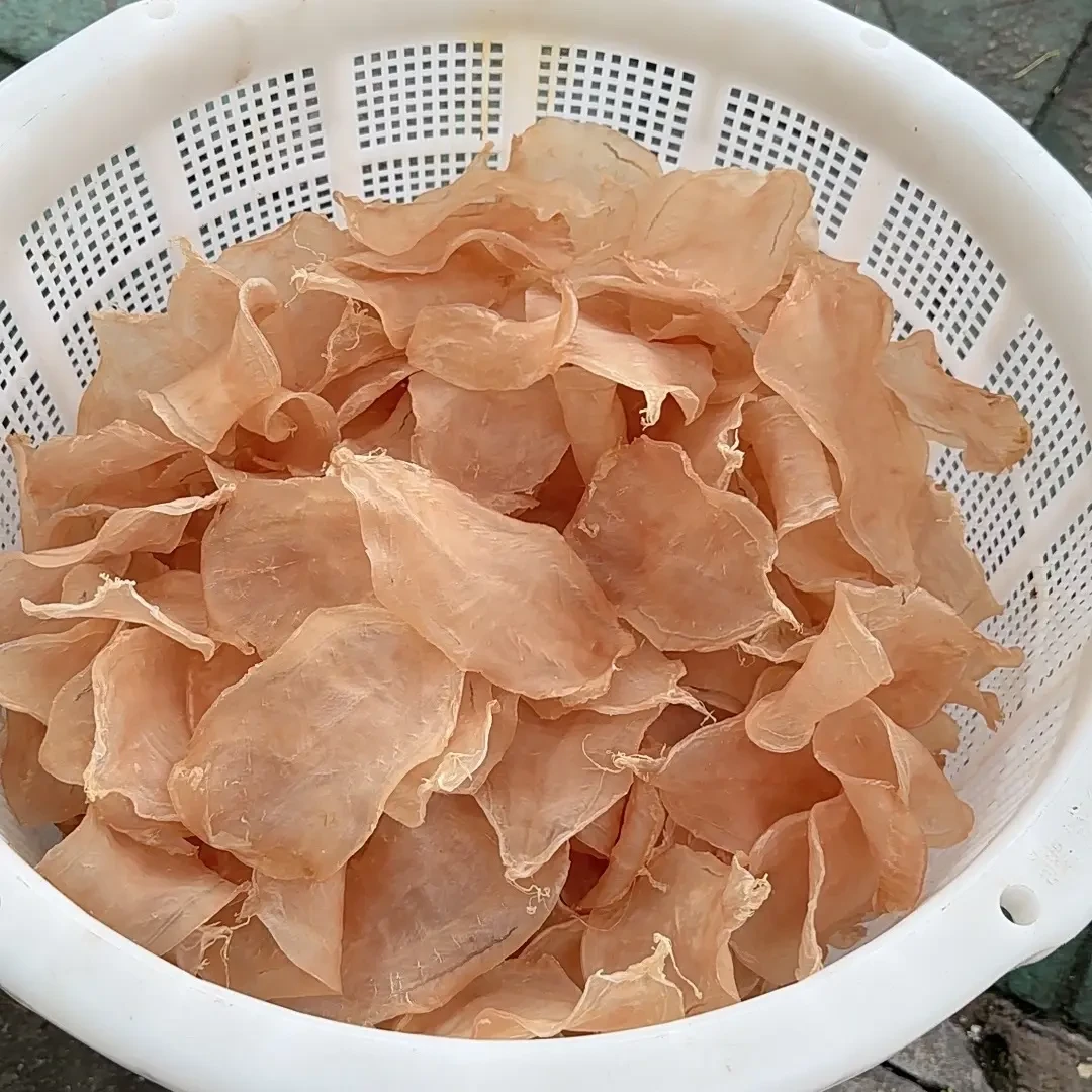 618南澳自晒滋补的深海白花鱼胶干货