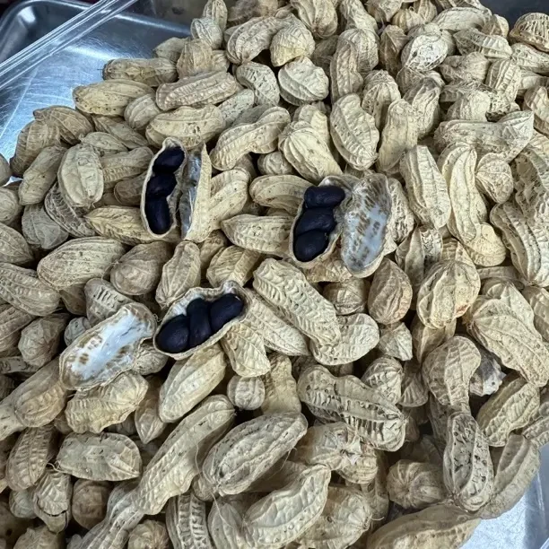 云南农家自晒黑花生坚果零食可煮粥生吃甘甜营养丰富