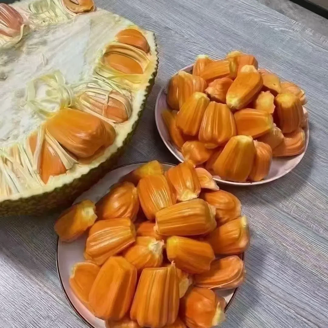 印尼红菠萝蜜9-12斤