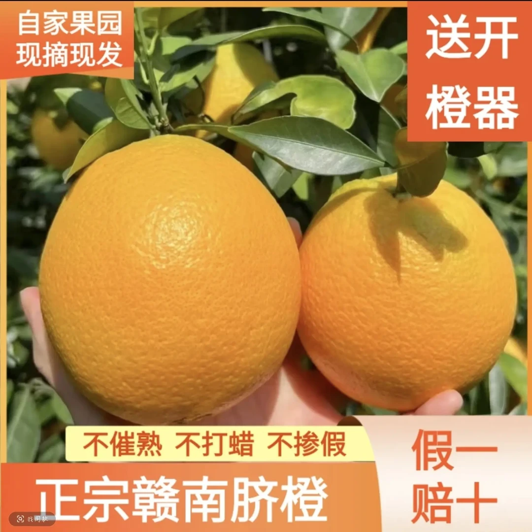 正宗江西赣南脐橙新鲜现摘当季甜橙子江西赣州产地直发坏果包赔