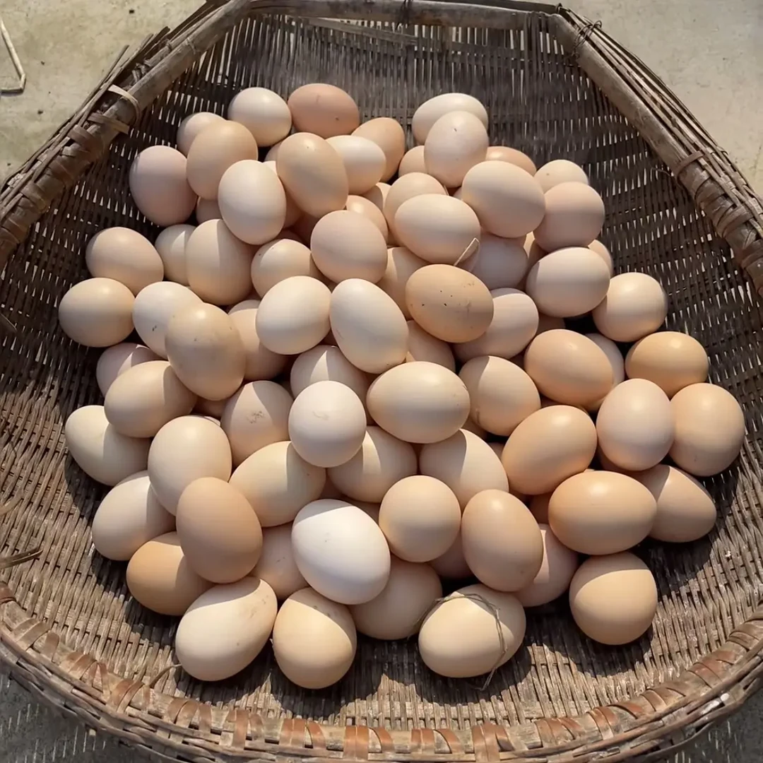 农家散养土鸡蛋新鲜健康适合孕妇月子食用