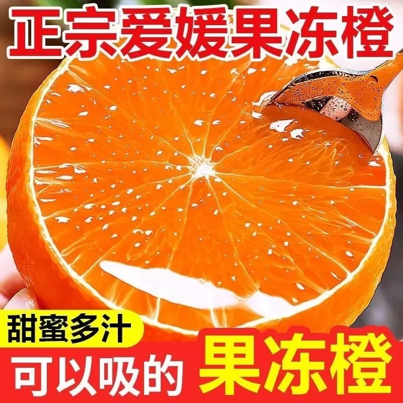 【现货速发】25年爱媛38号果冻橙子云南应季新鲜孕妇水果柑橘