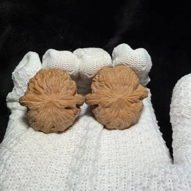 【铁锤妹妹】文玩核桃边33高27肚33 一图一物