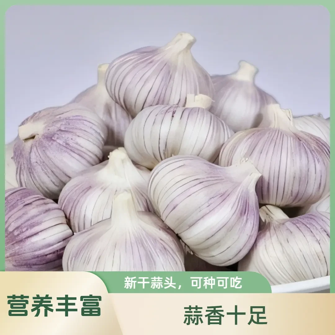 特大干蒜大蒜头干蒜5斤中果大果干紫白皮大蒜250克-5斤