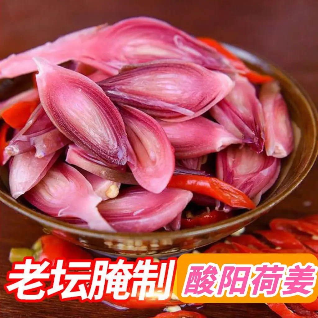 竹山农家老坛腌制酸阳荷姜酸辣洋火姜酸辣爽口下饭下酒1斤/2斤/5