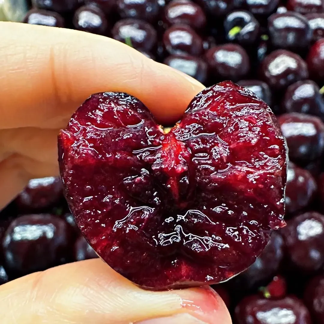 【顺丰包邮】空运车厘子4JD 桑提娜新鲜大脆甜多汁内附果径卡