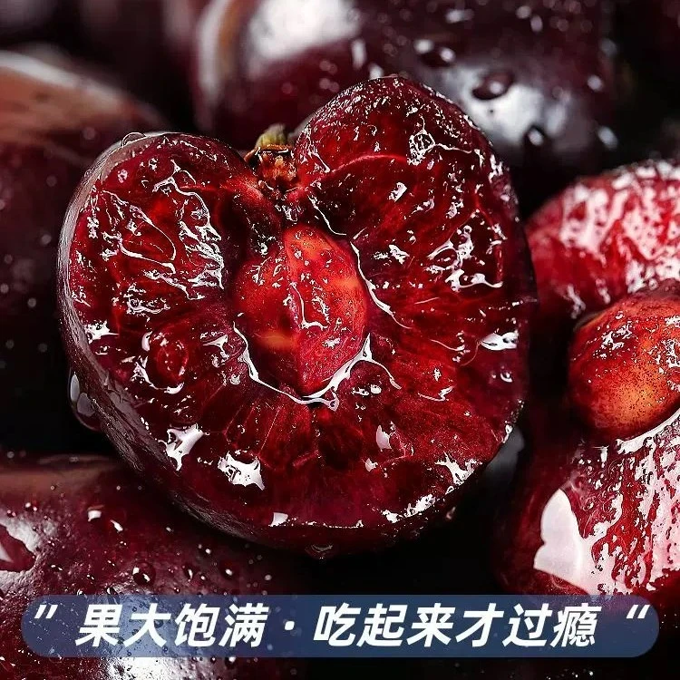 【智利进口】车厘子5斤原箱应季孕妇新鲜水果大樱桃J2J3J4JD 5斤顺丰次日达
