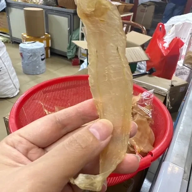 618南澳自晒滋补的深海白花鱼胶干货