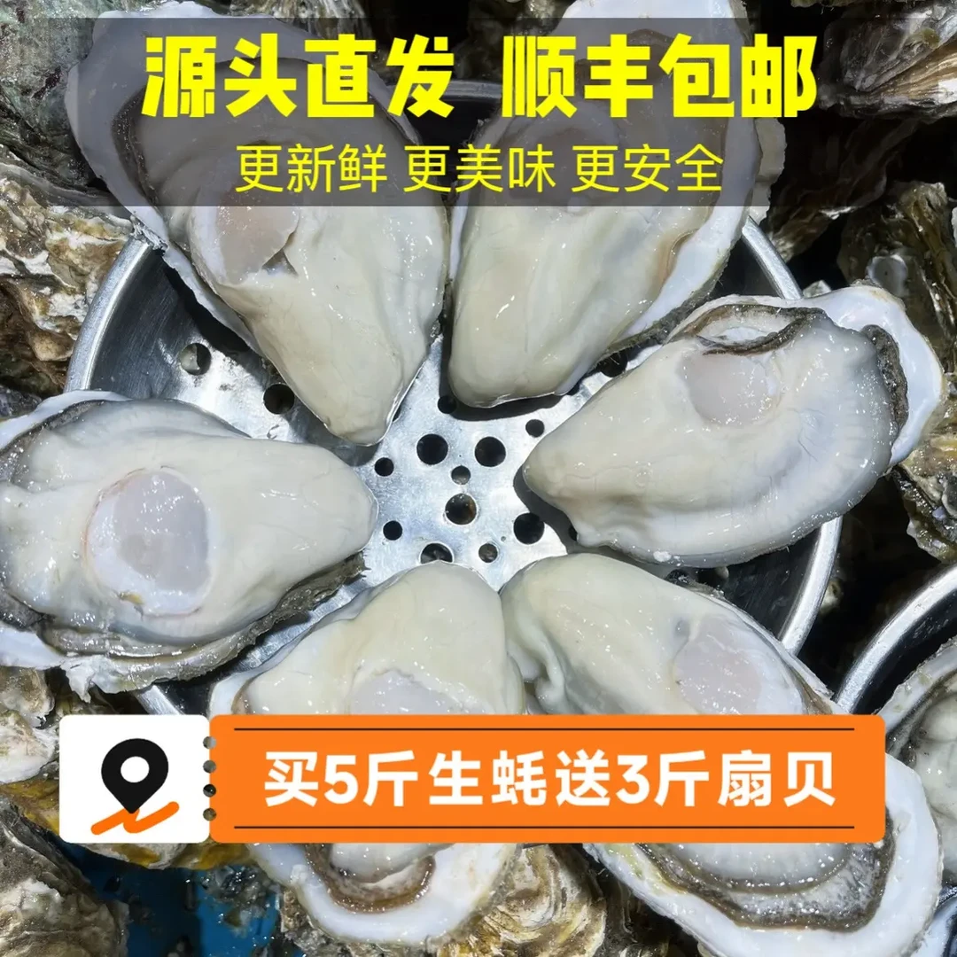 超推荐日照鲜活生蚝5斤➕送扇贝3斤到手8斤装顺丰包邮到家美味鲜甜