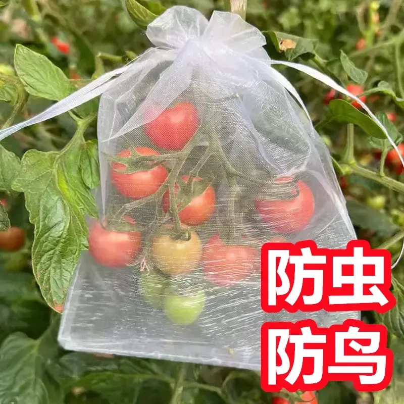 【适合多种水果】保护袋防鸟防虫网眼袋番茄葡萄专用网套袋网眼袋子