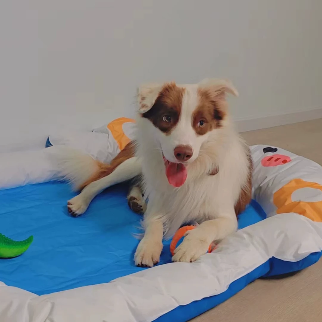 边牧专用狗狗冰垫狗窝凉窝夏天夏季降温睡觉垫子特大号大型犬金