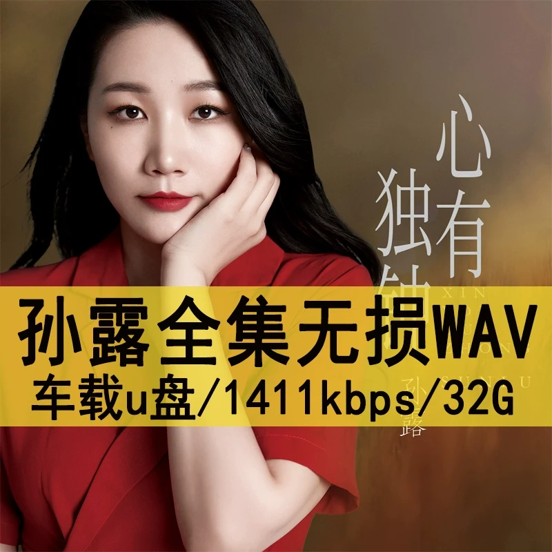 孙露U盘出道至今所有歌曲全集WAV原声无损车载高品质车用音乐优盘