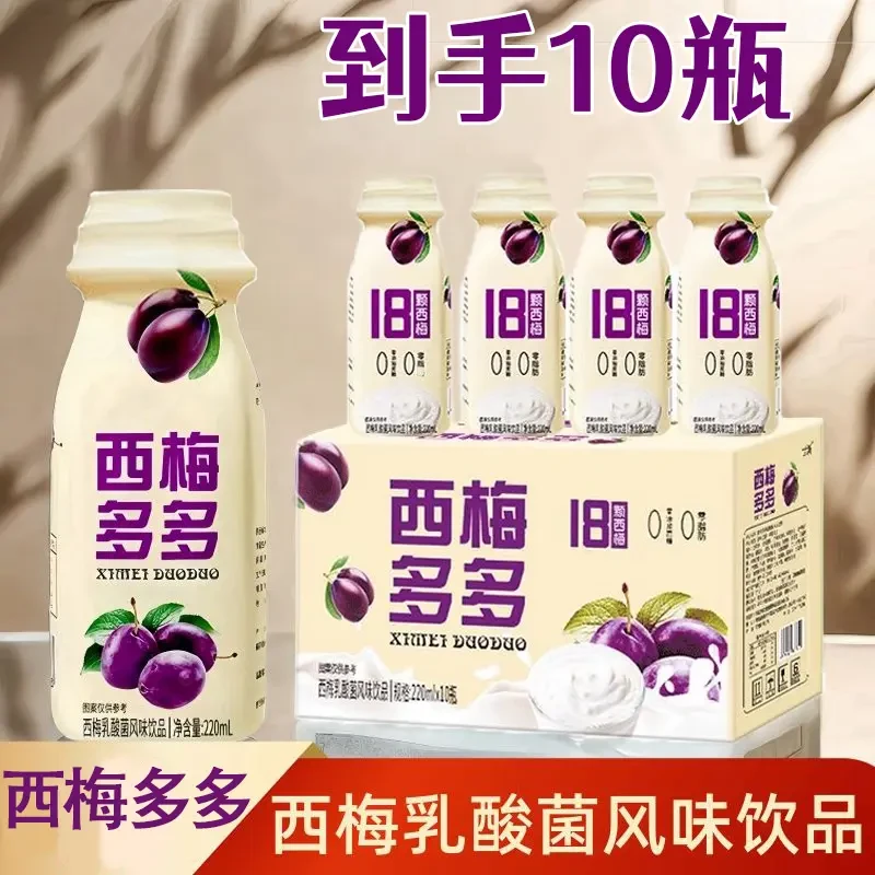 【新日期】西梅多多乳酸菌风味饮料膳食纤维果味酸甜清爽营养饮品