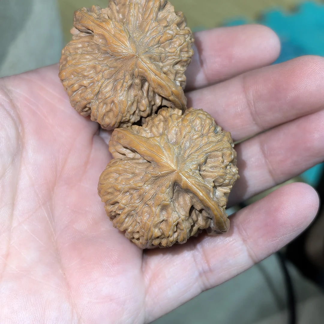 39尺小粗筋白狮子，号25011