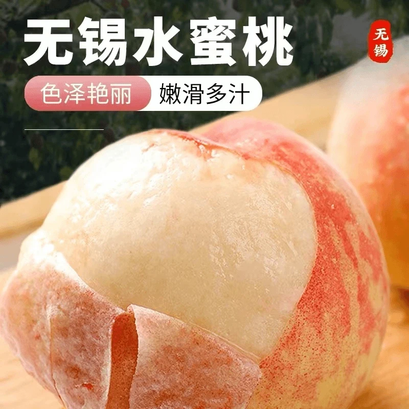 【正宗无锡水蜜桃】单个4-6两 6个礼盒装  买一箱送一箱 夏日尝鲜新鲜应季水果香甜爆汁桃子江苏省