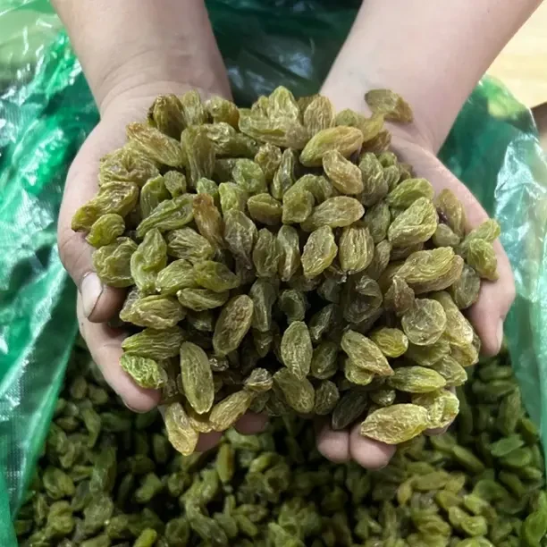 双十一惊爆价全国包邮