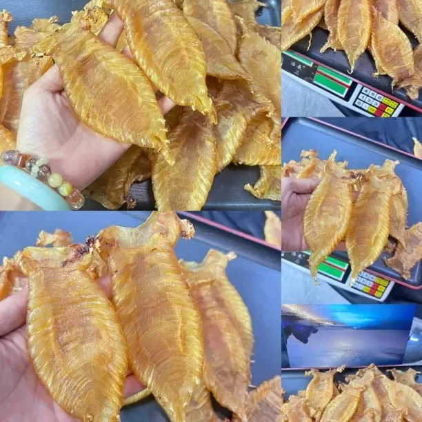南澳朱朱3号鱼胶干货-深海冬厚老鱼母胶公肉赤嘴鱼胶