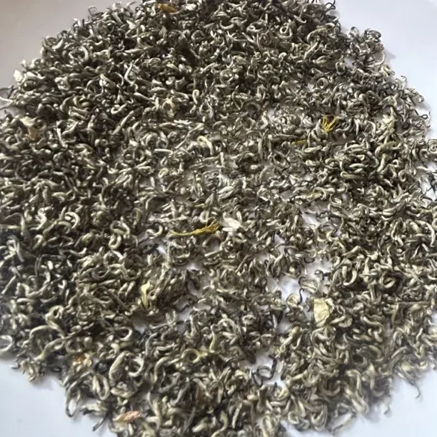 茉莉飘雪王新茶春茶浓香型耐泡回甘香甜