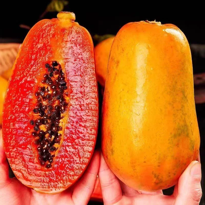 正宗云南冰糖红心木瓜3/9斤装应季当季青皮木瓜牛奶木瓜新鲜水果