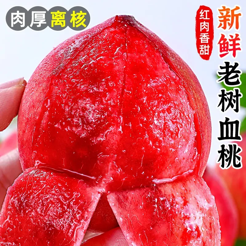 血桃新鲜现摘水果老树蜜桃大果血丝桃子蜜脆甜应当季孕妇整箱包邮