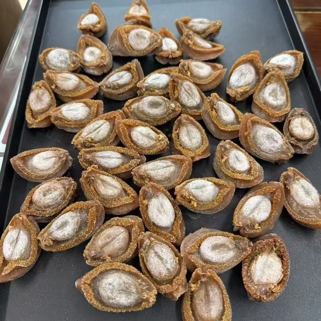 南吉溏心鲍鱼多种规格可选口感软糯香浓