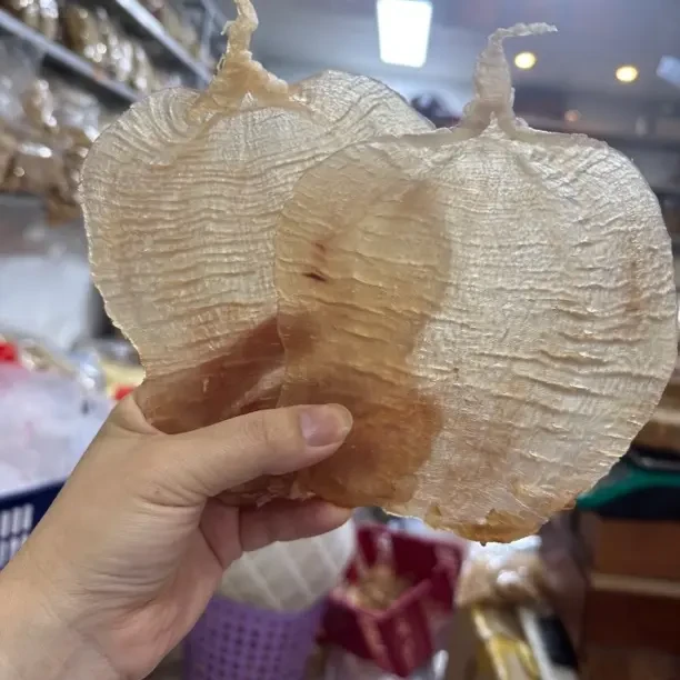 618南澳自晒滋补的深海赤嘴鱼胶干货