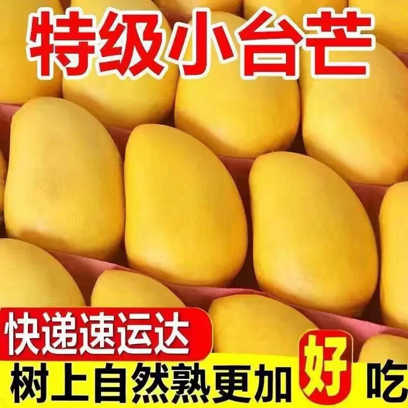 蒋卷王唐老师正宗小台农芒应季新鲜热带水果薄皮肉厚台农芒果
