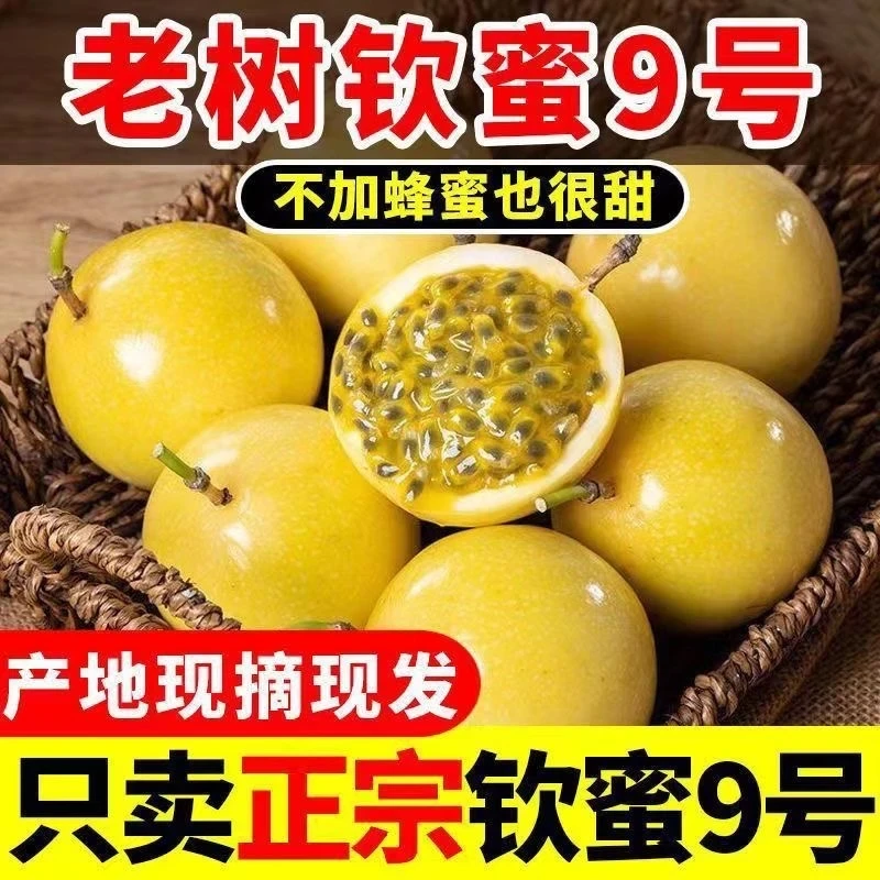正宗钦蜜9号百香果新鲜广西现摘香甜多汁热带时令水果原产地