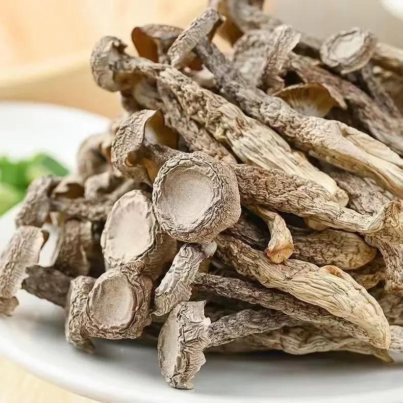 【特级】鹿茸菇干货古田鹿茸菌新货高山脆脆菇新鲜干锅煲汤食材