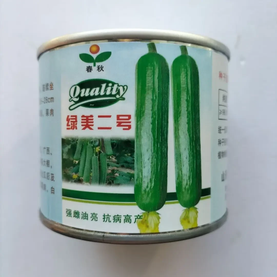 绿美二号丝瓜种子强雌油亮丝瓜种子抗病高产翠绿长棒香丝瓜种子