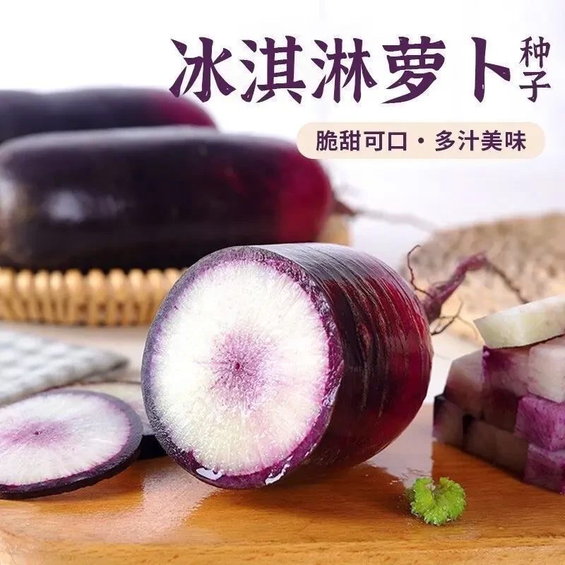 冰激凌水果萝卜种子种籽紫皮冰淇淋水果罗卜籽种菜种红蔬菜孑子