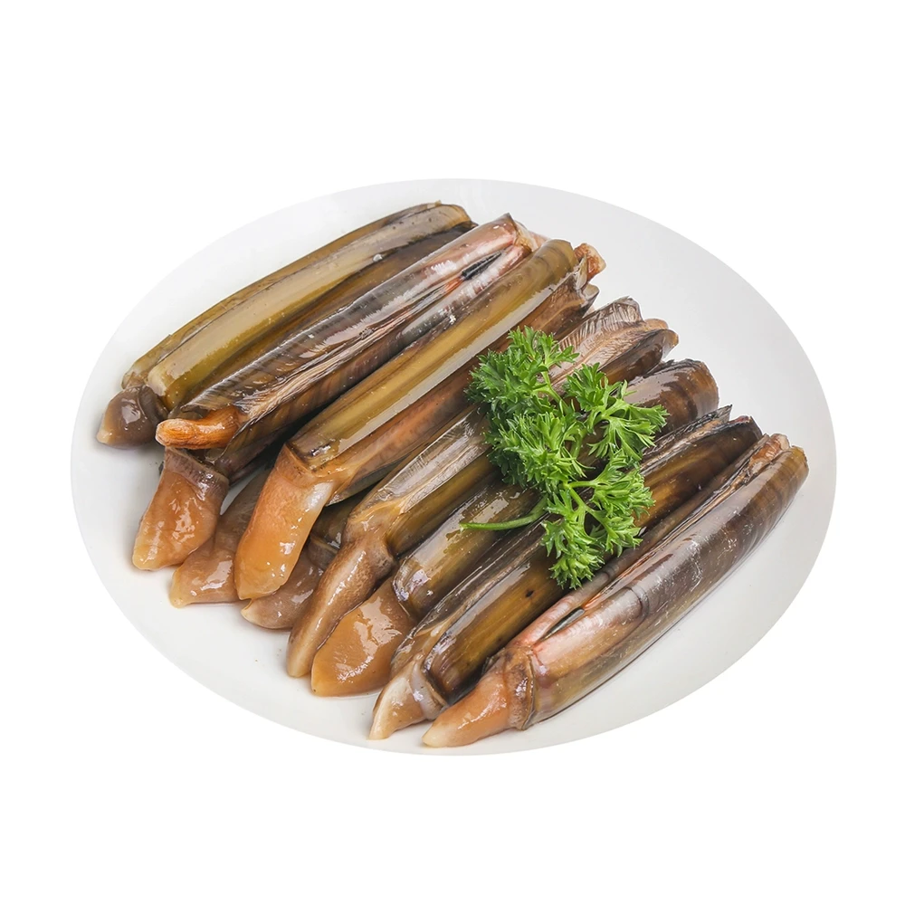 鲜活渤海湾两指粗冷水超大竹蛏皇 50-60g/个