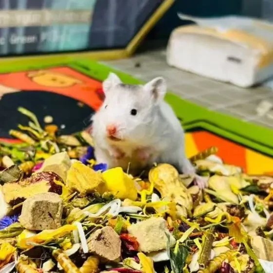 仓鼠金丝熊专用自配粮营养增肥长肉磨牙冻干草本饲料 300克/袋