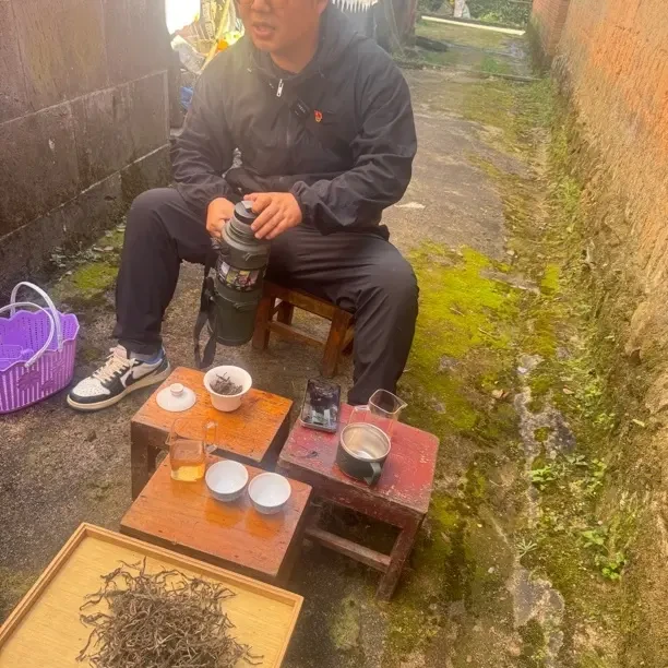 红豆树韩氏17号野放古树生普