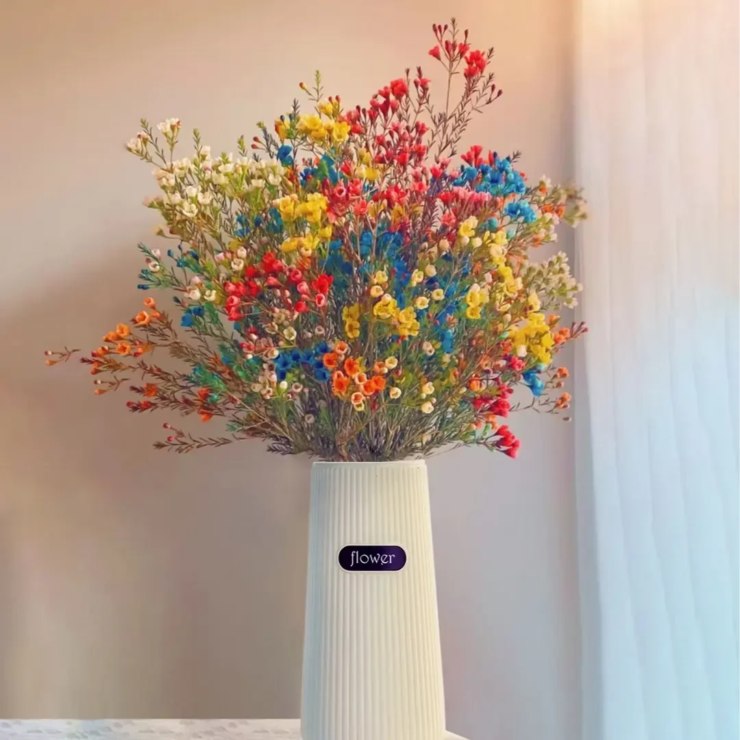 【混色腊梅+花瓶+保鲜剂】鲜花新年年宵花期长家居摆放云南基地直发