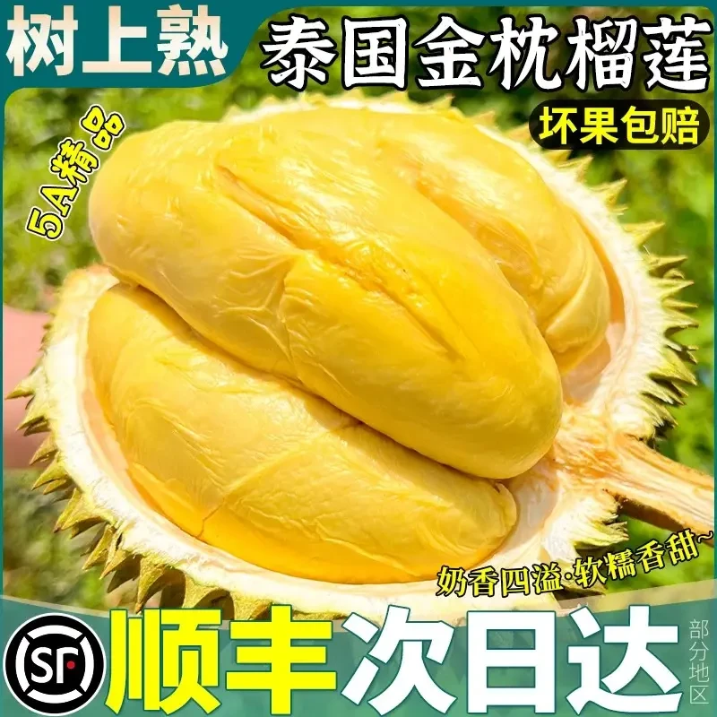 9-12日L【顺丰次日达】泰国金枕新鲜榴莲整颗鲜果带壳软糯香甜皮薄肉厚核小 累  1.5-4斤金枕泰国东部