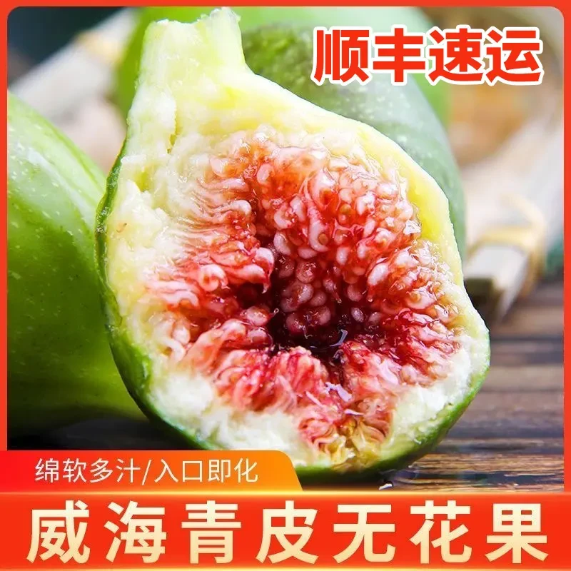 S1山东威海青皮无花果新鲜应季当季水果软糯香甜顺丰发货